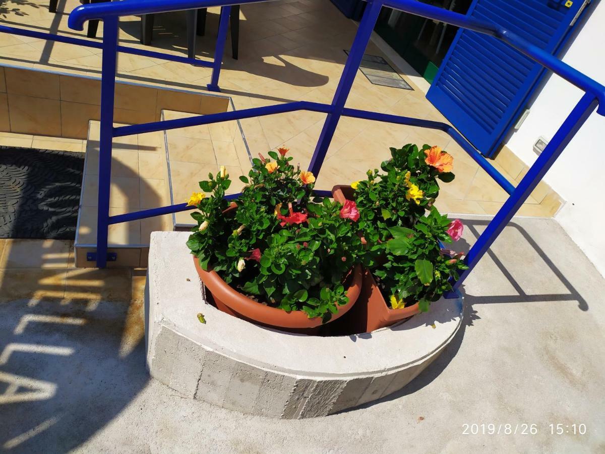 Coccinella Otel Sabaudia Dış mekan fotoğraf